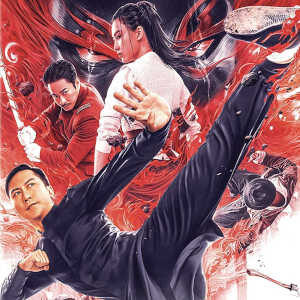 Recensione dvd Ip Man – Kung Fu Master